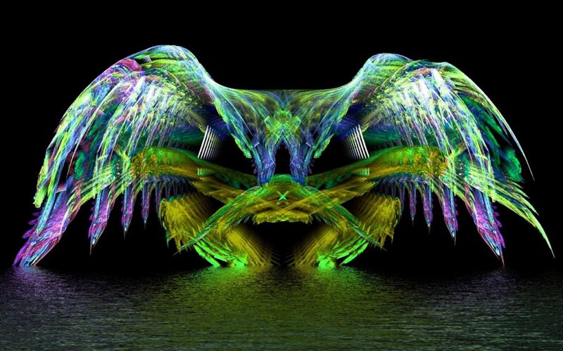 Colorful Wings on Water