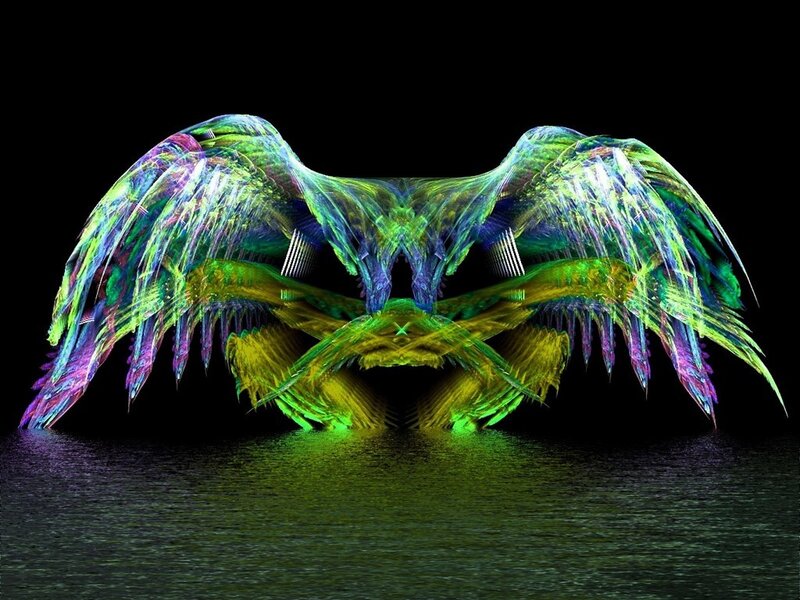 Colorful wings over water