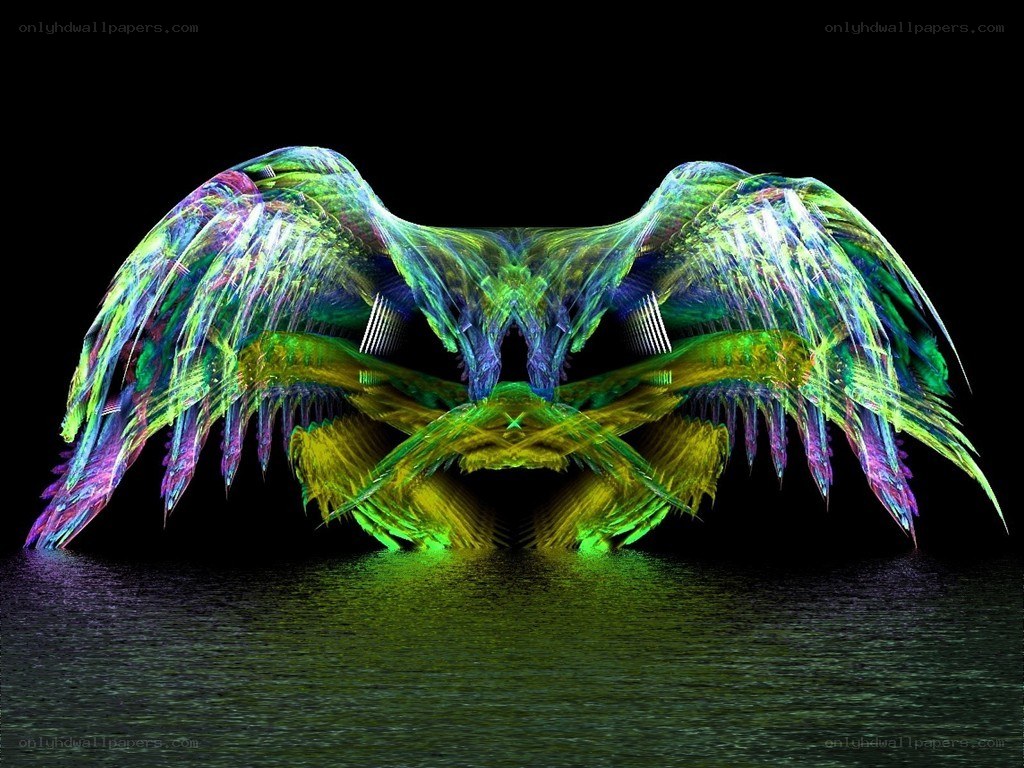 Colorful wings over water