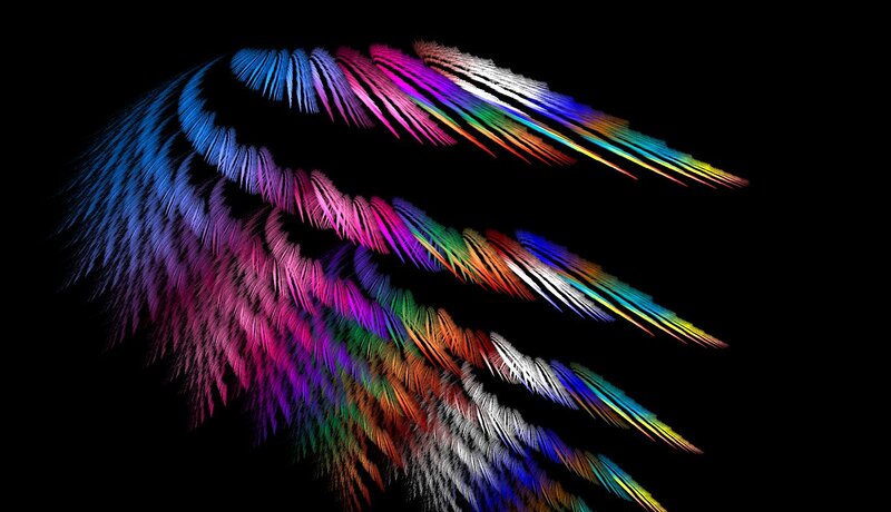 Colorful Wings
