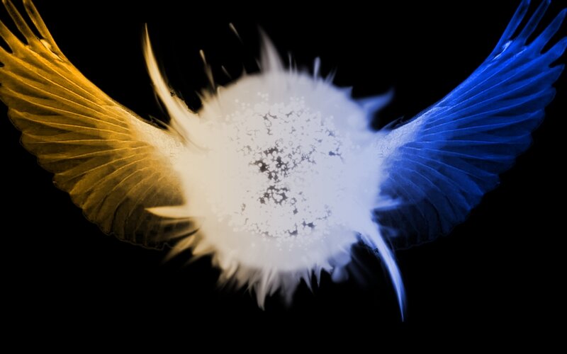 colorful wings with glowing center