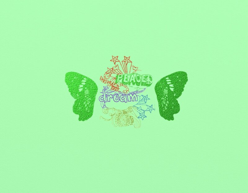 Colorful Wings with Text