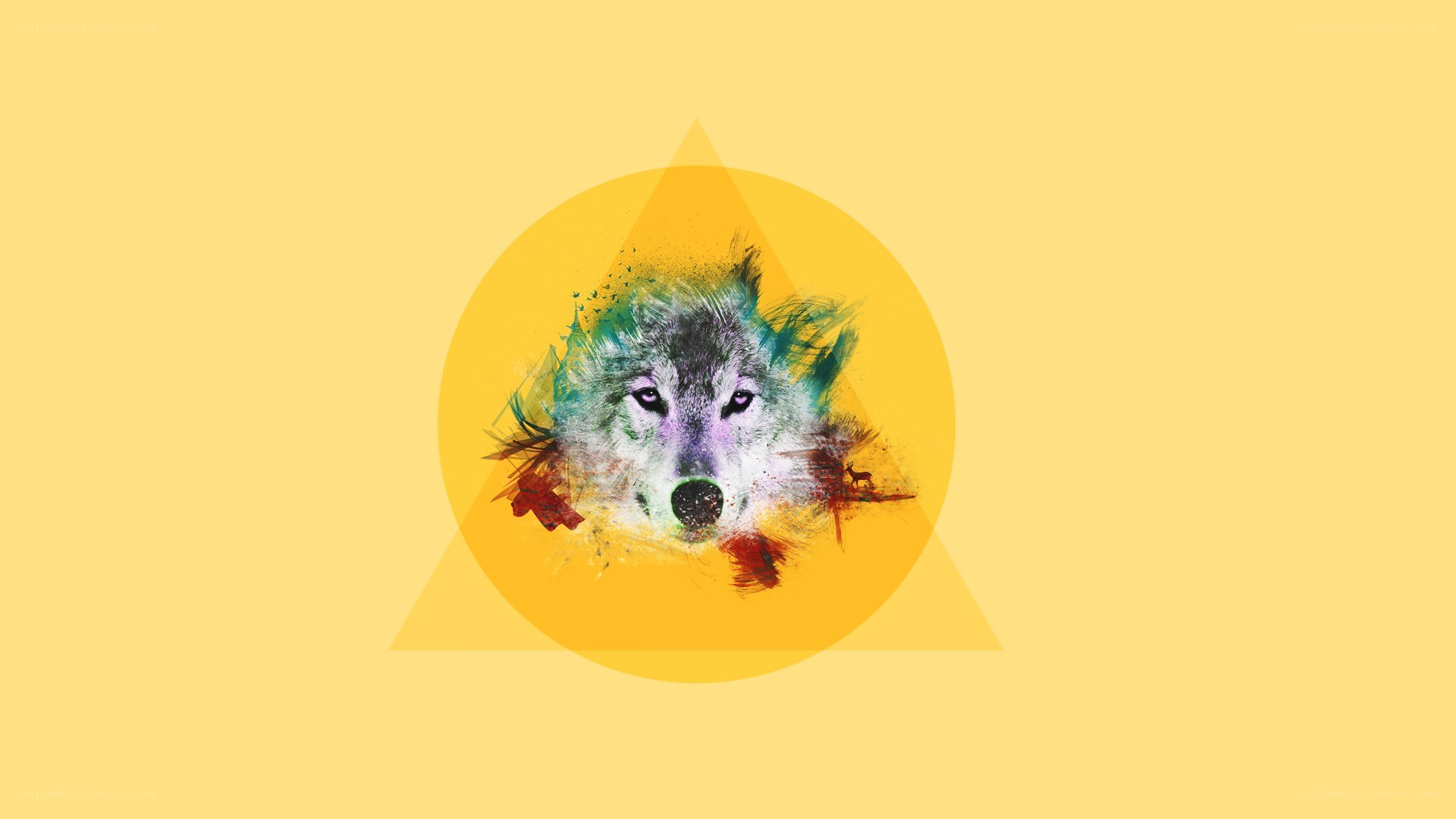 colorful wolf art design