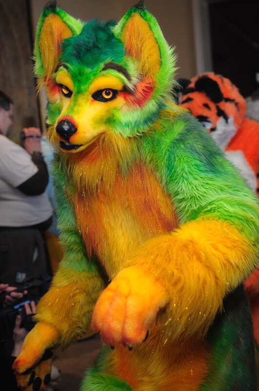 colorful wolf fursuit at event