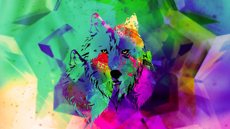 Colorful Wolf Head — Purple, Vibrant