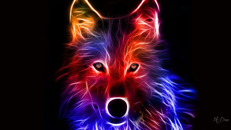 Colorful Wolf Head — Red, Dramatic