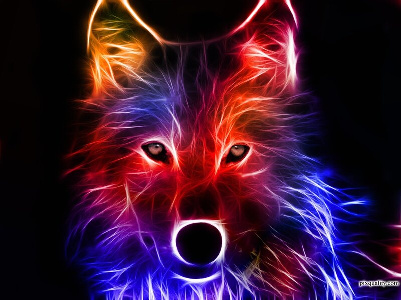 Colorful Wolf Head
