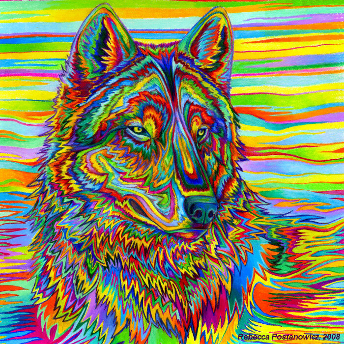 colorful wolf portrait