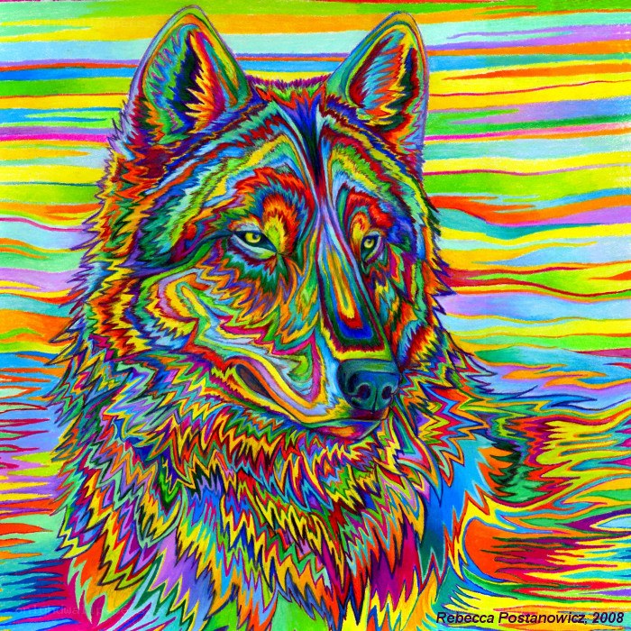 colorful wolf portrait