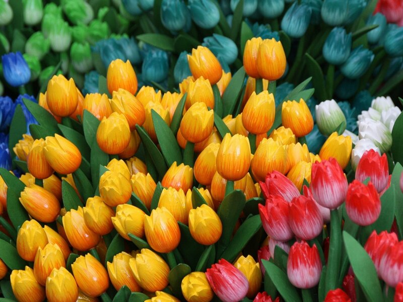 Colorful Wooden Tulips — Yellow