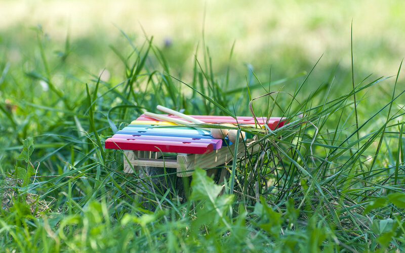 Colorful Xylophone in Grass — Green