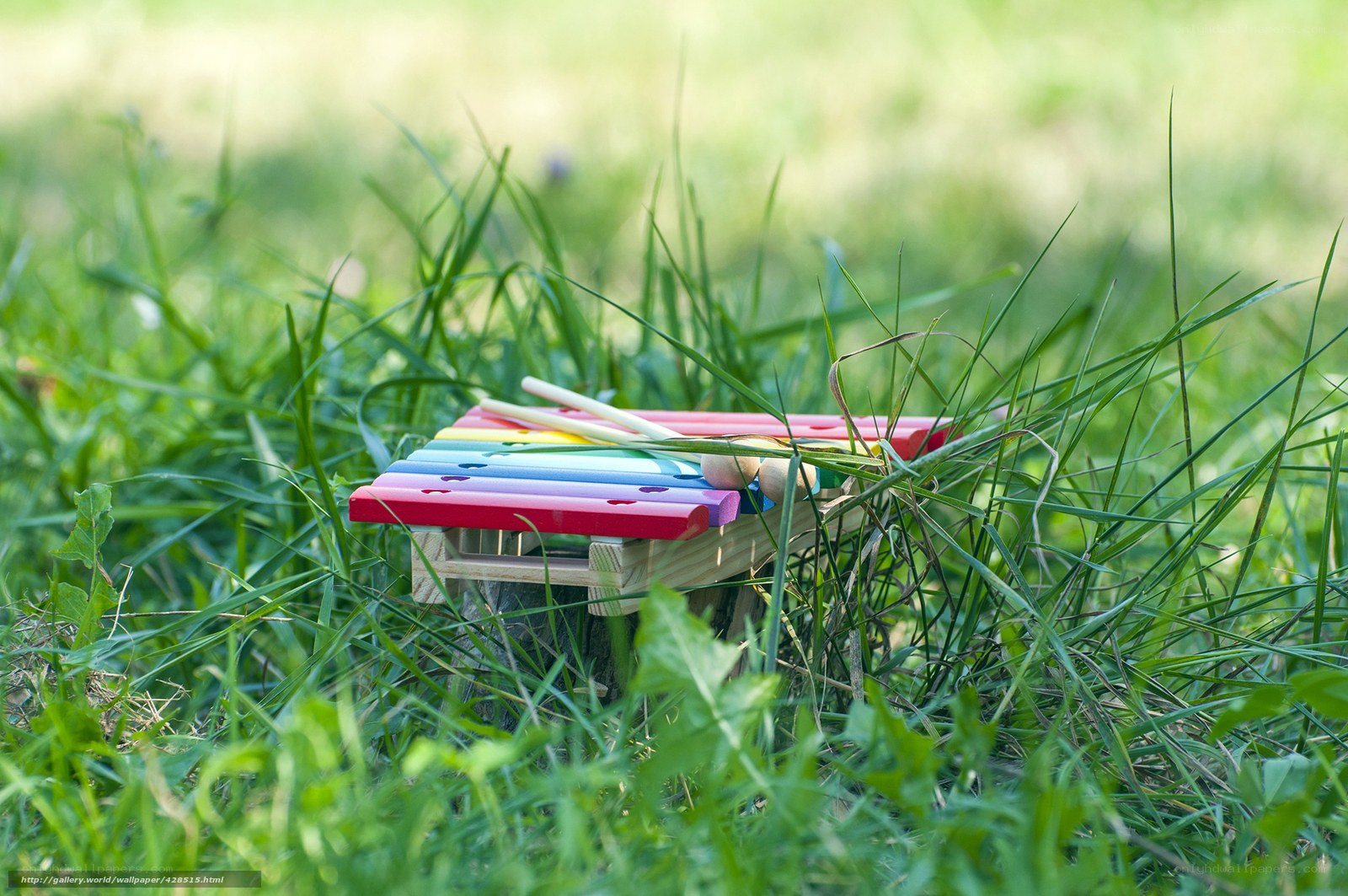 Colorful xylophone in grass