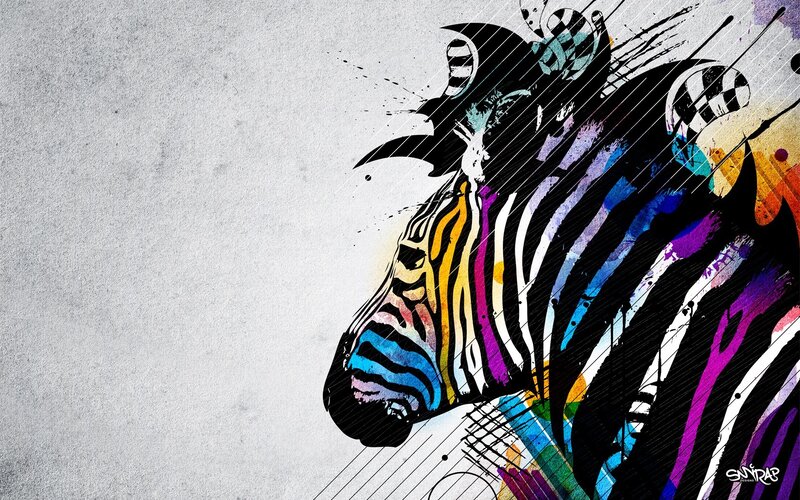 colorful zebra art illustration