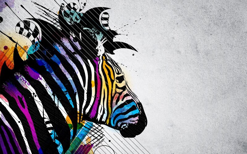 colorful zebra art illustration