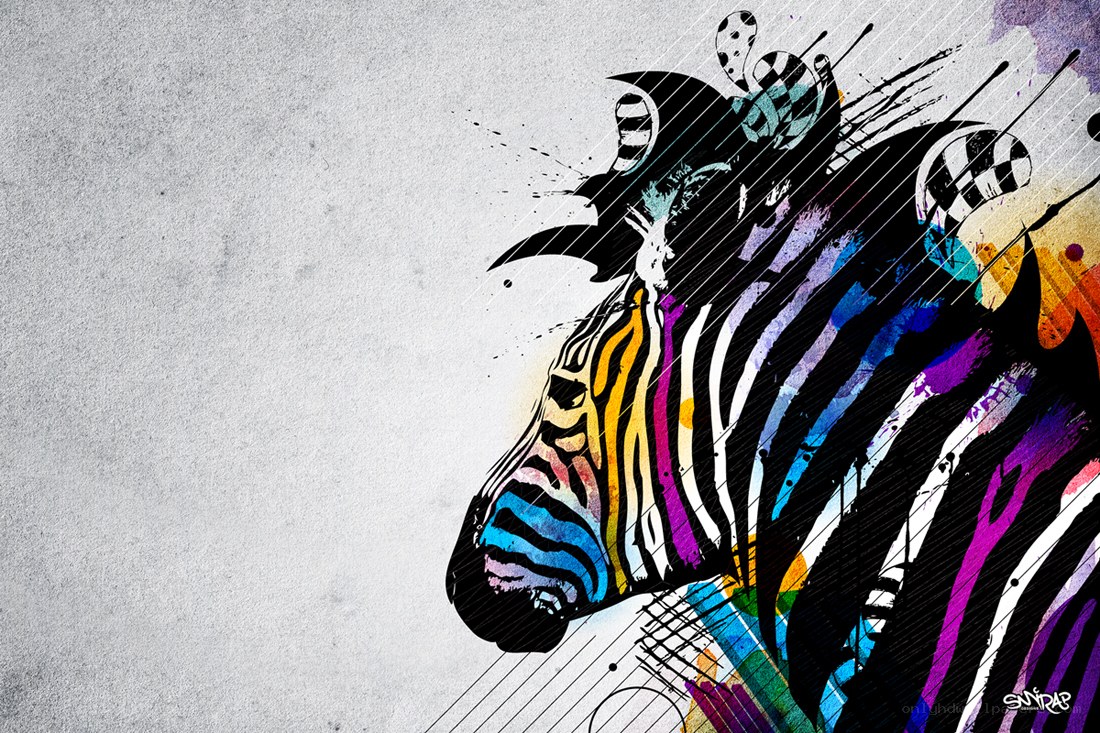 colorful zebra art illustration