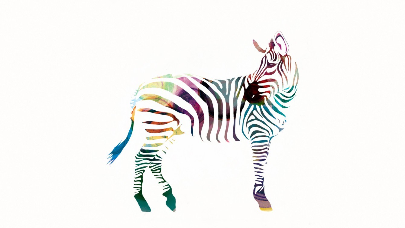 colorful zebra illustration