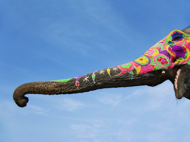 colorfully painted elephant trunk