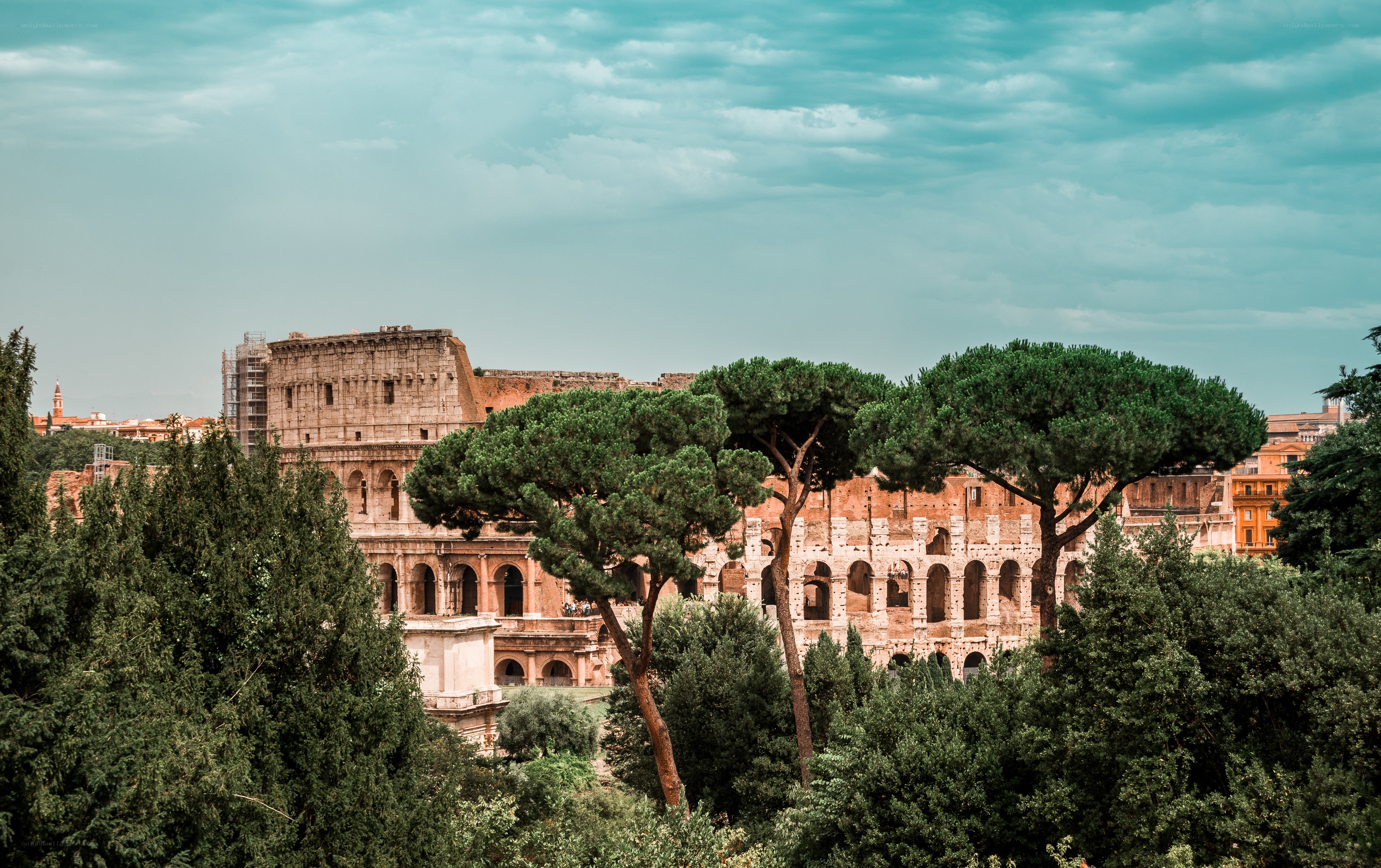 Colosseum in Rome