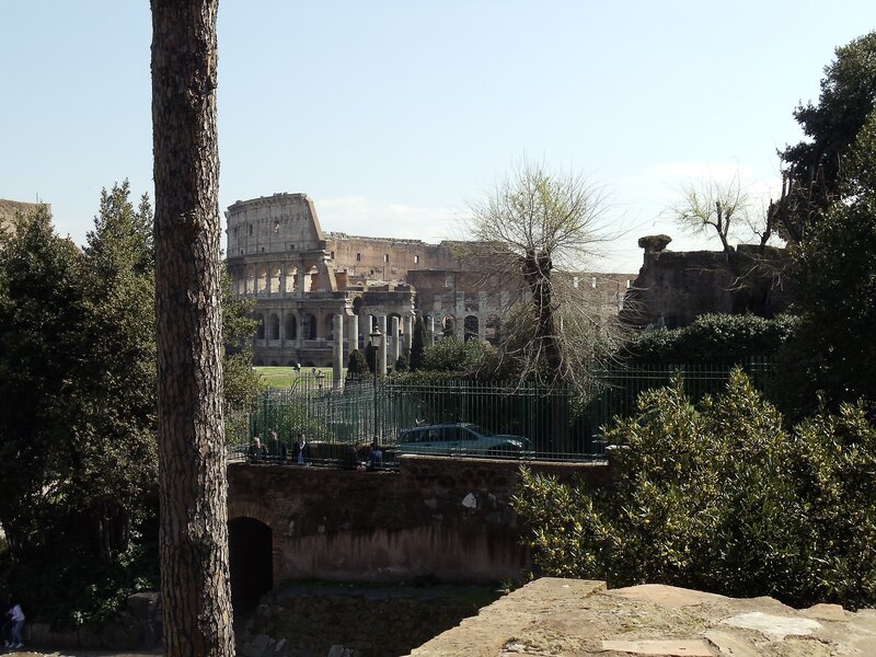 Colosseum in Rome