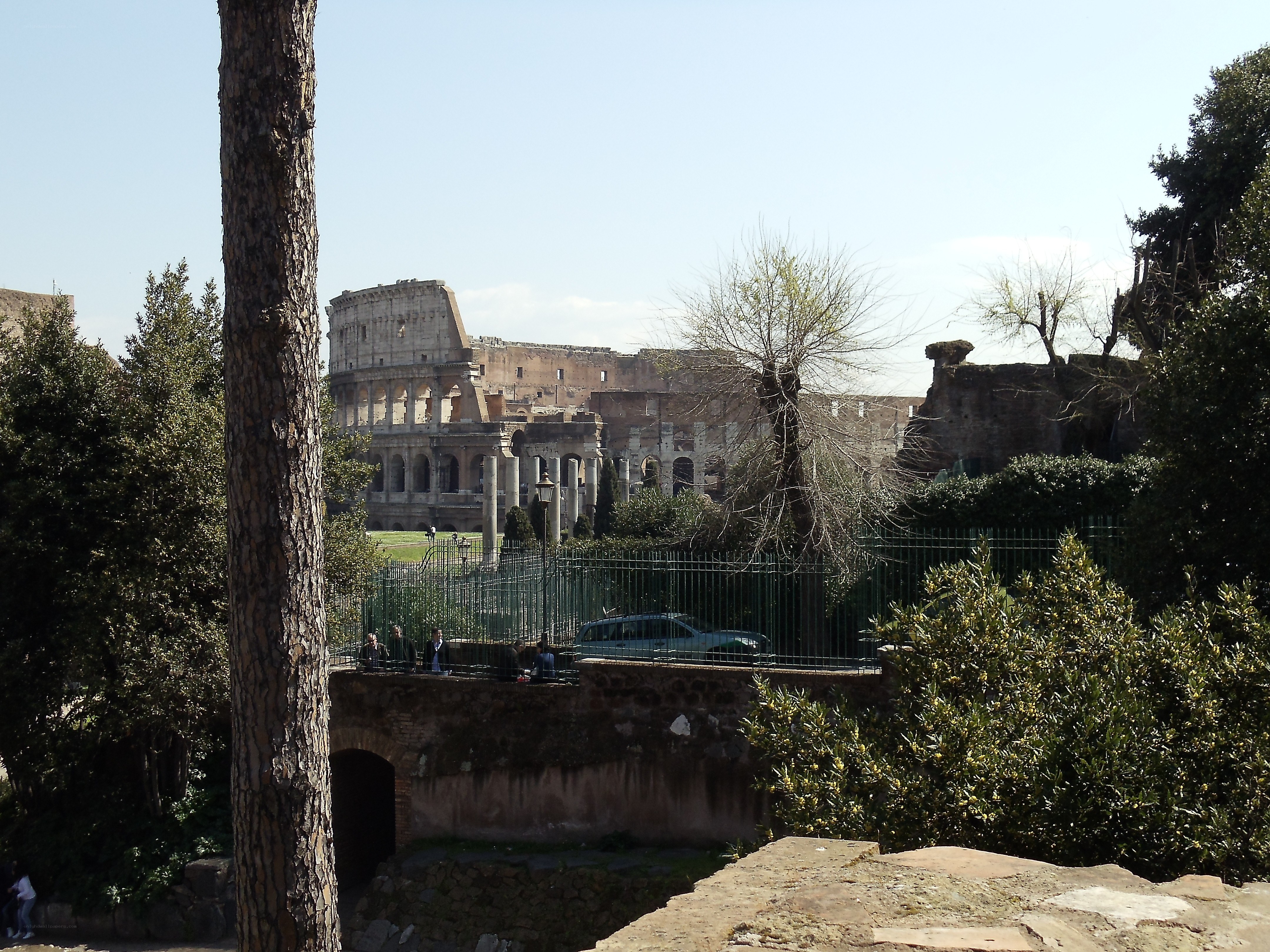 Colosseum in Rome