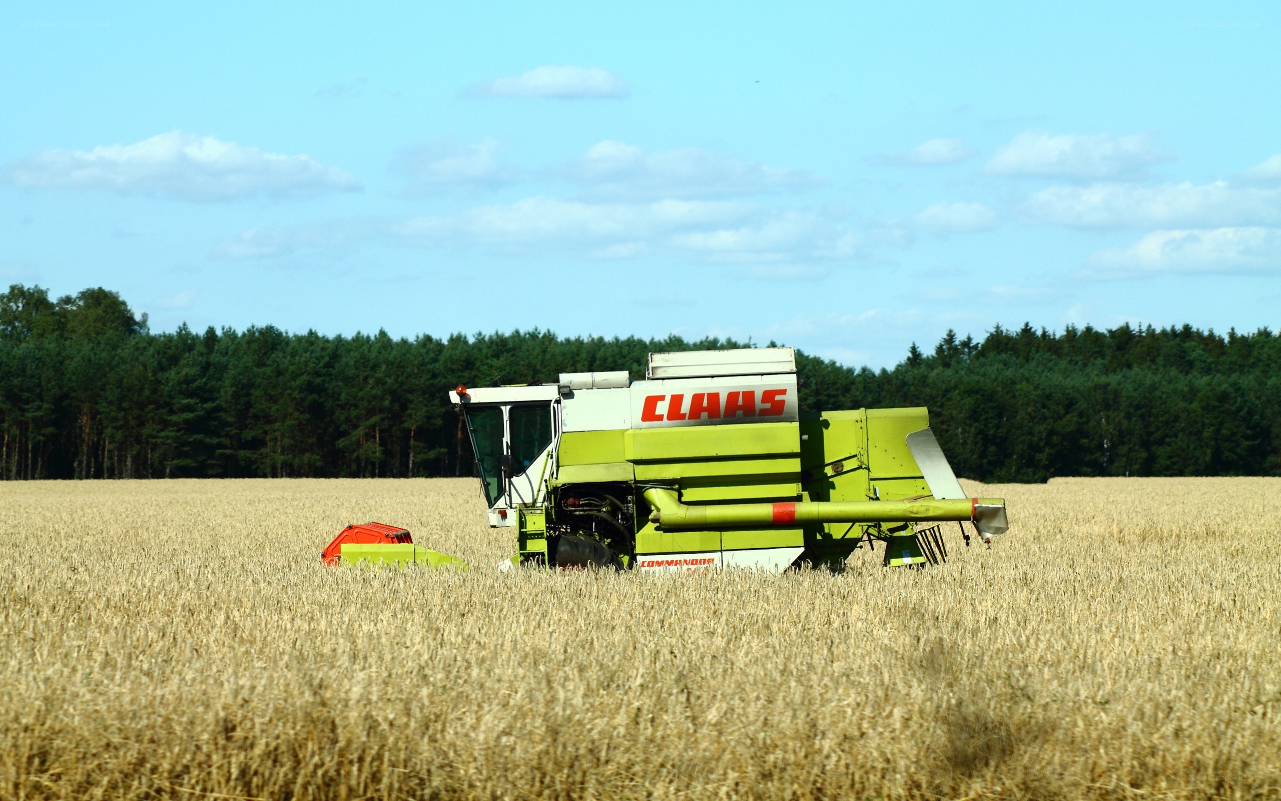 Combine harvester in a wheat field