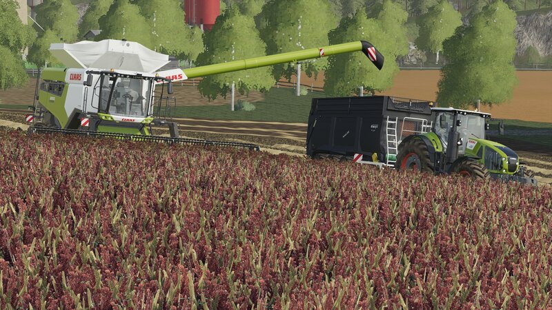 Combine Harvester in Field — Green, Productive