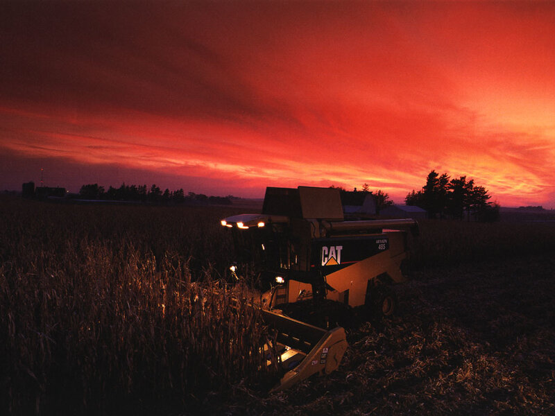 Combine Harvester in Field