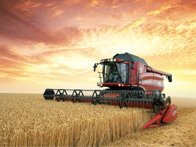 Combine harvester in wheat field