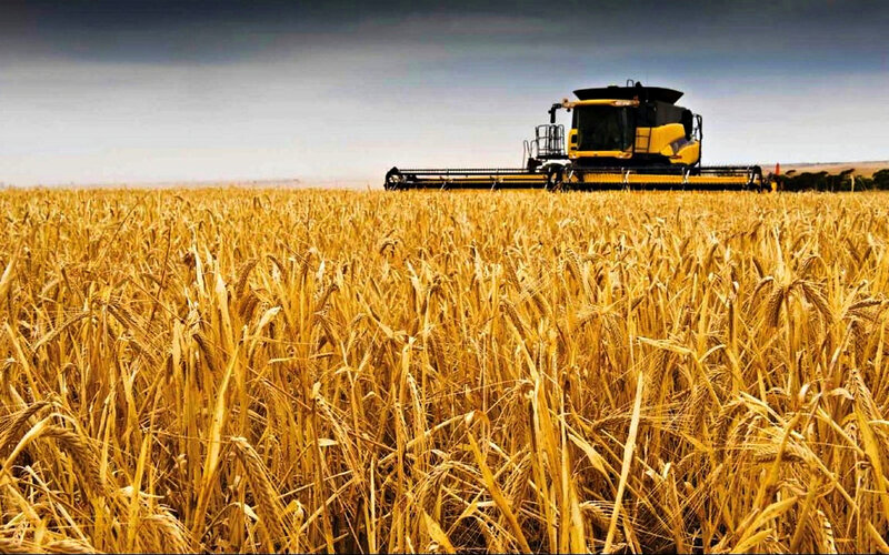 Combine Harvester in Wheat Field — Yellow