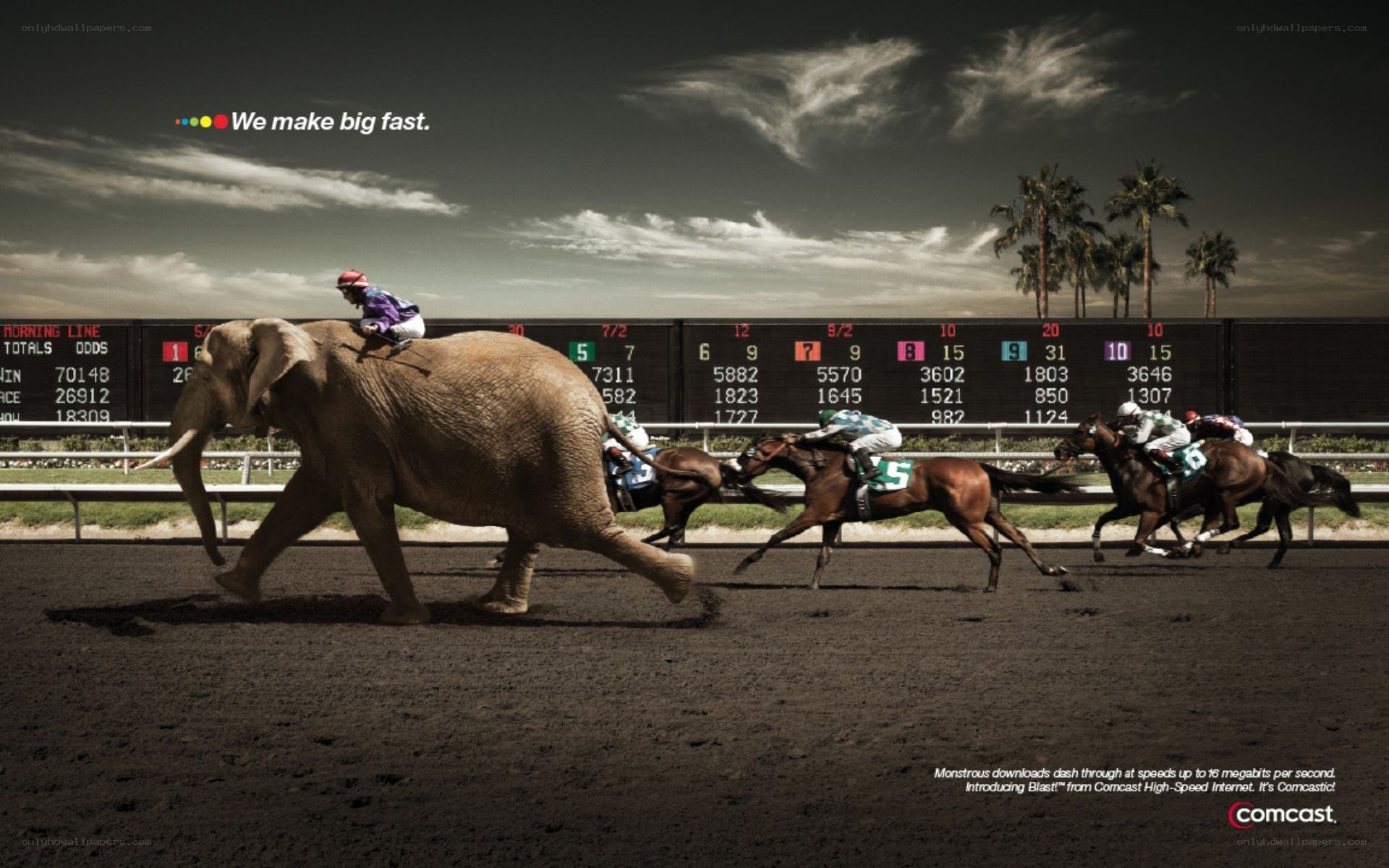 Comcast ad with elephant