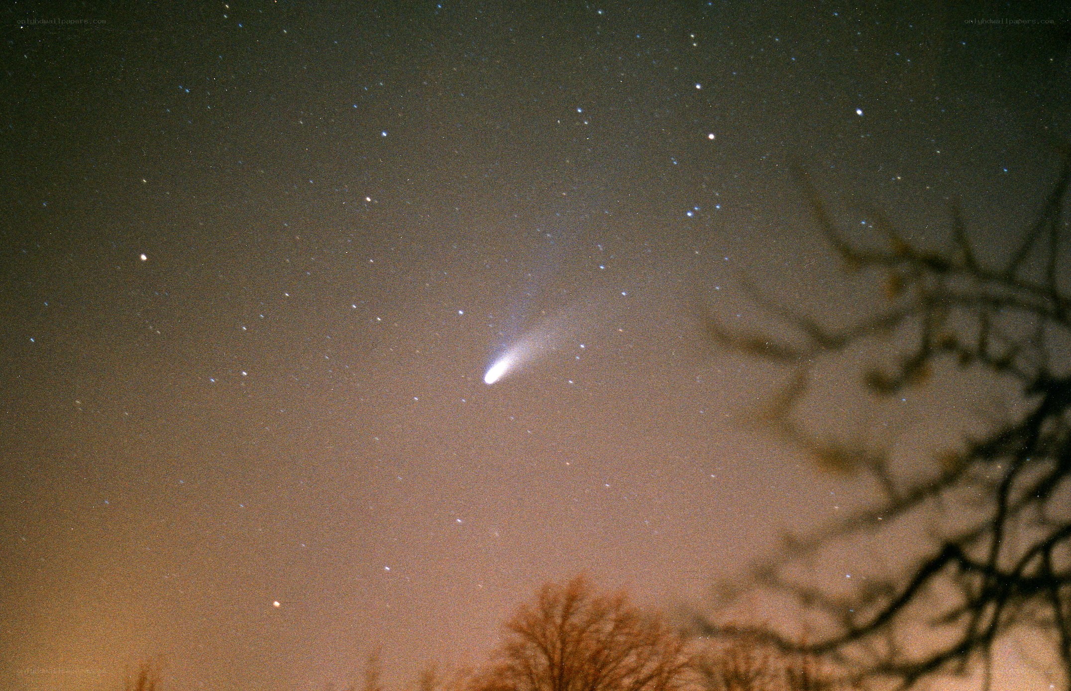 Comet in the night sky