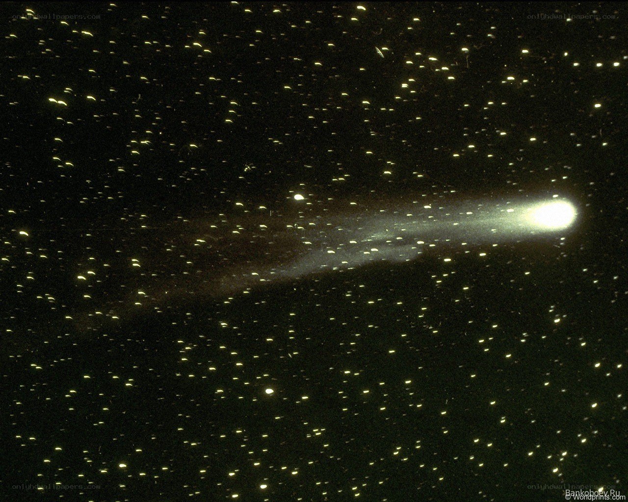 Comet in the night sky