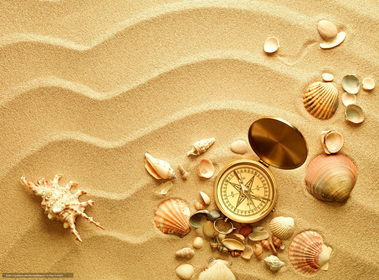 Compass and seashells on sand