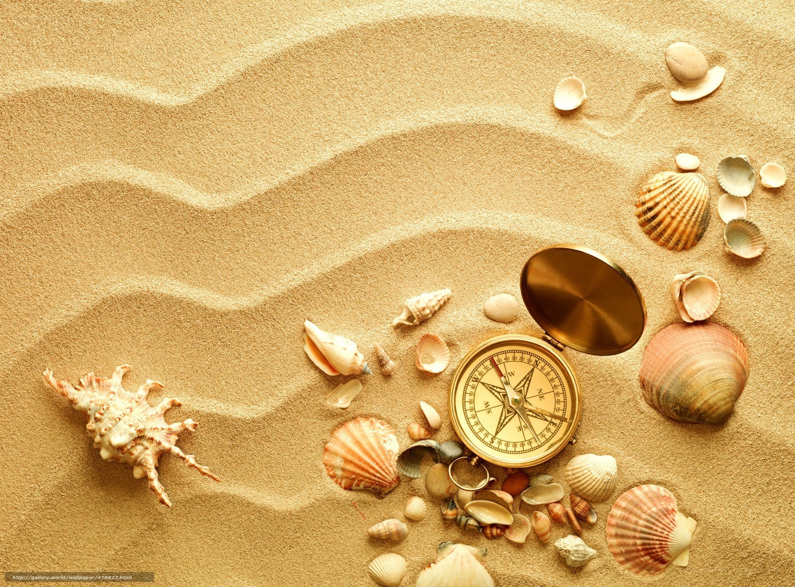 Compass and seashells on sand