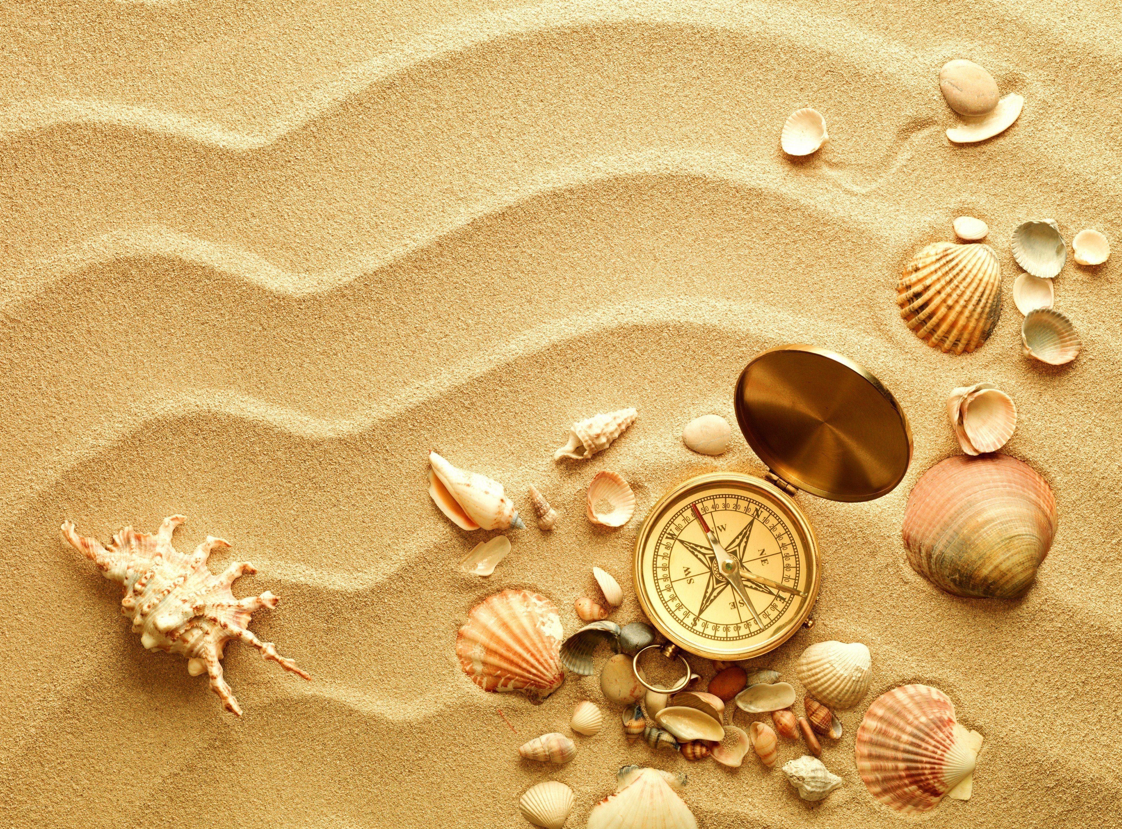 compass and seashells on sand