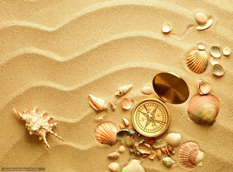 Compass and Seashells