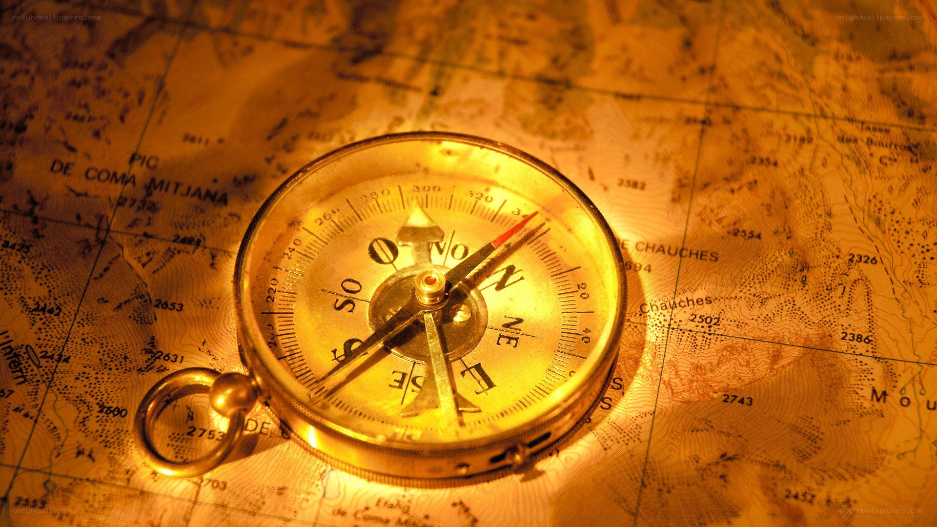 compass on a map