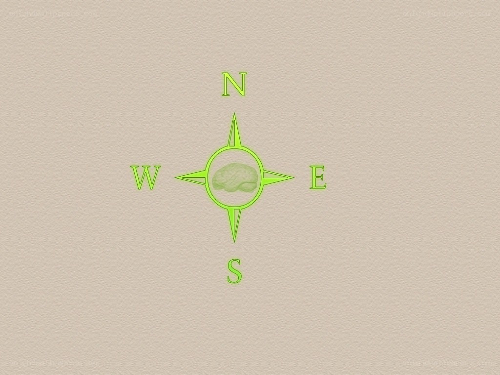 compass with brain symbol