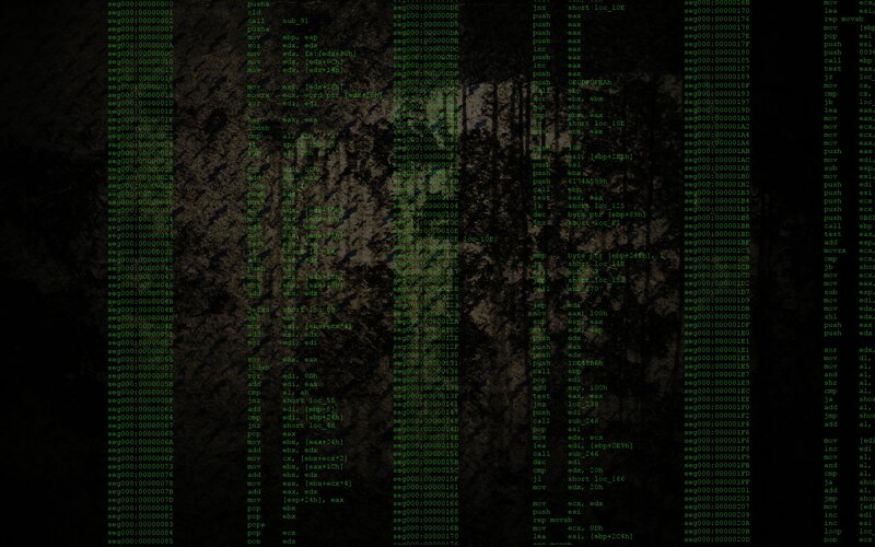 Computer Code on Screen — Green