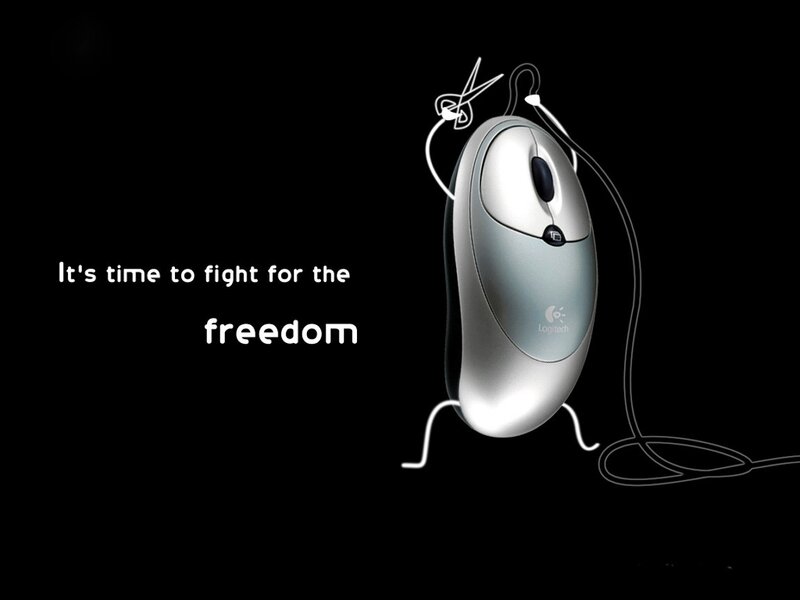computer mouse freedom
