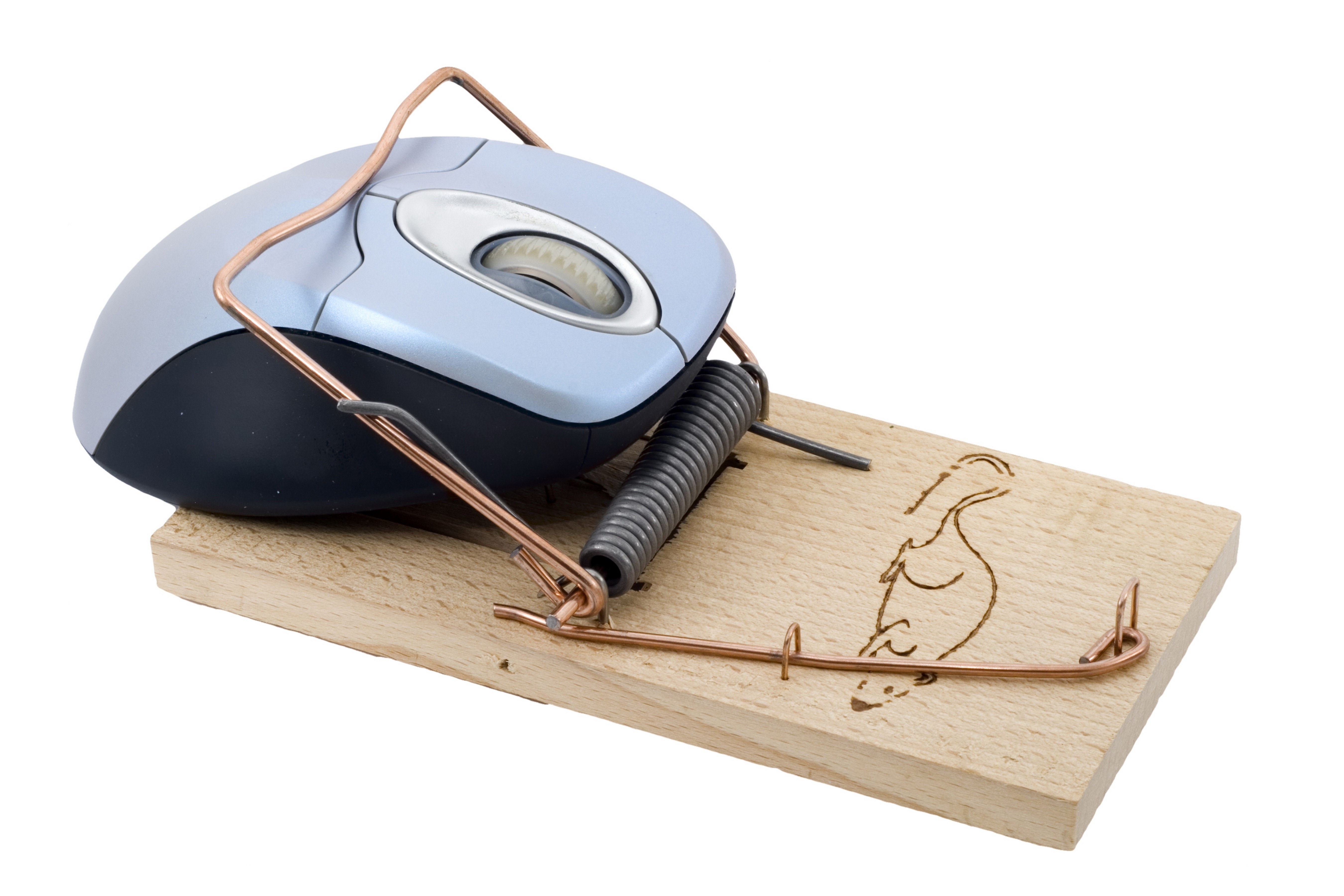 computer mouse in a trap