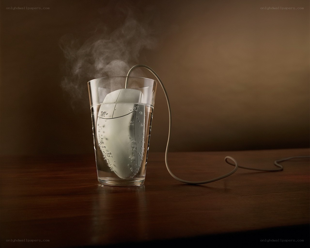 Computer mouse in steaming water