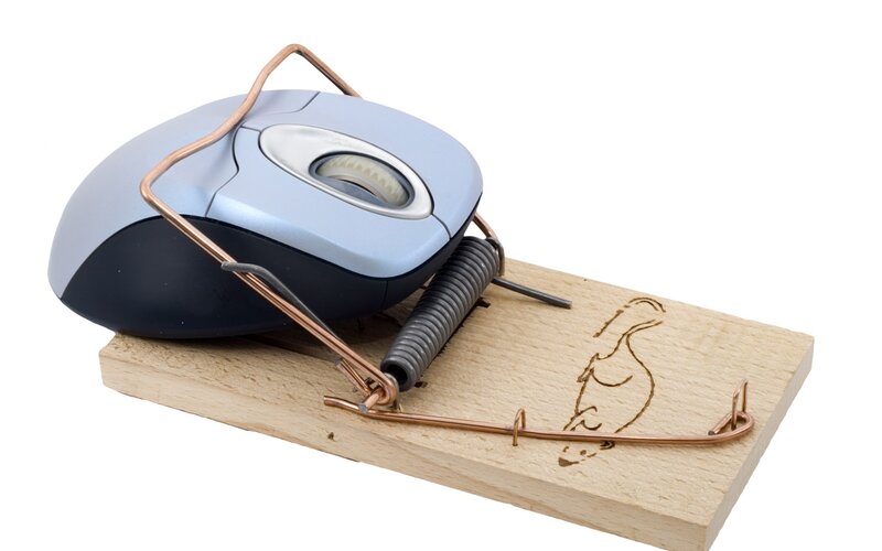 Computer Mouse in Trap — Brown