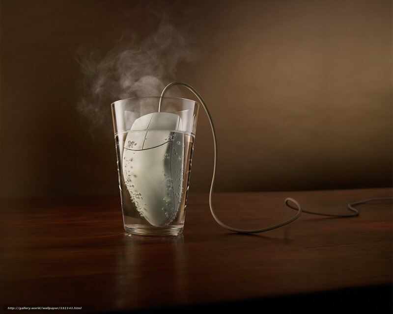 Computer Mouse in Water — Brown