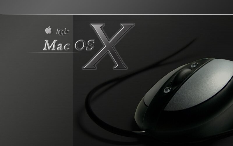 Computer Mouse on Dark Surface