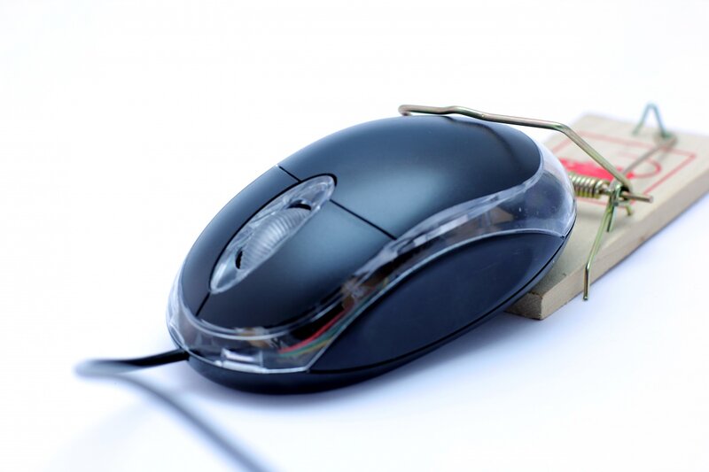 Computer Mouse on Mousetrap
