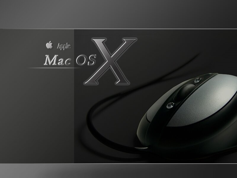 Computer Mouse