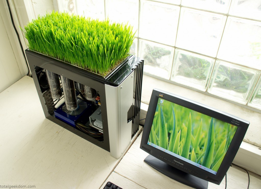 computer with grass on top