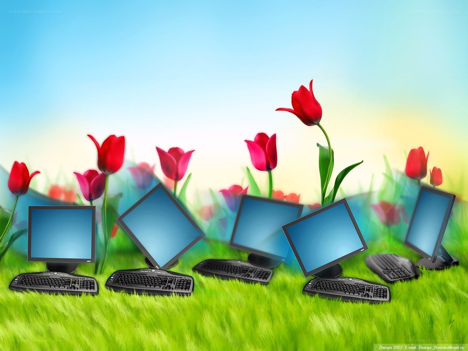 Computers in a flower field