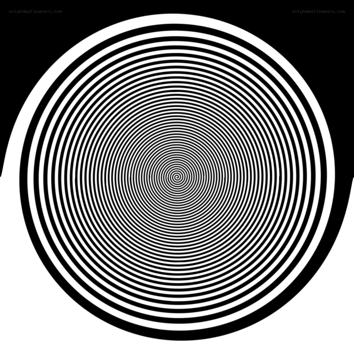 Concentric black and white circles